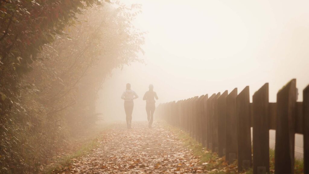 Becoming International Companions on your journey