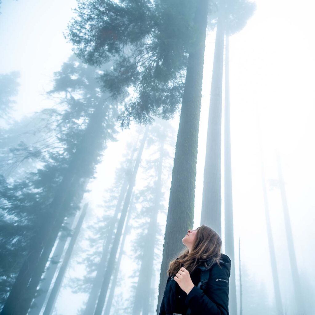 women's leadership development Becoming International