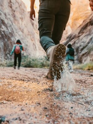 Allyship at work shown by people on a walking journey