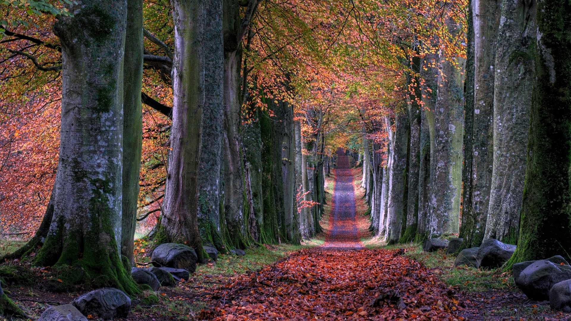 Vertical development leadership road