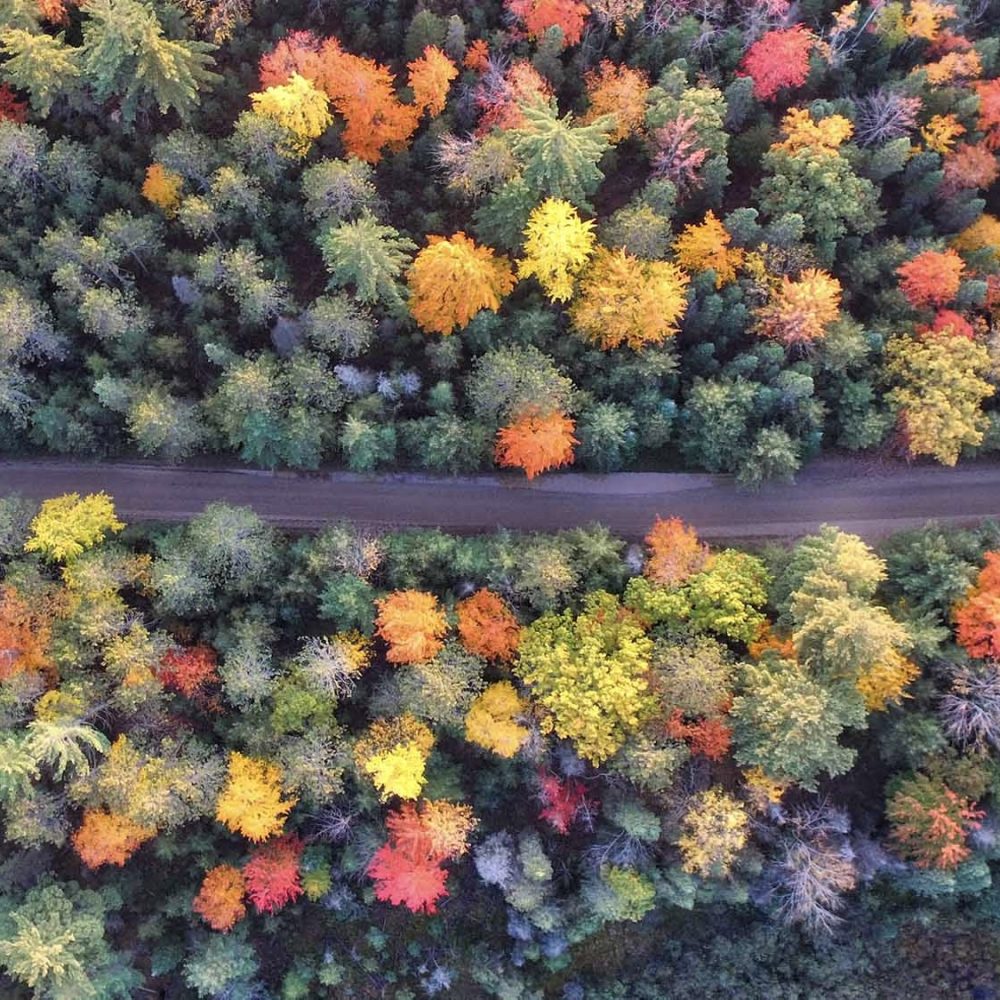 The Becoming Journey leadership development for women