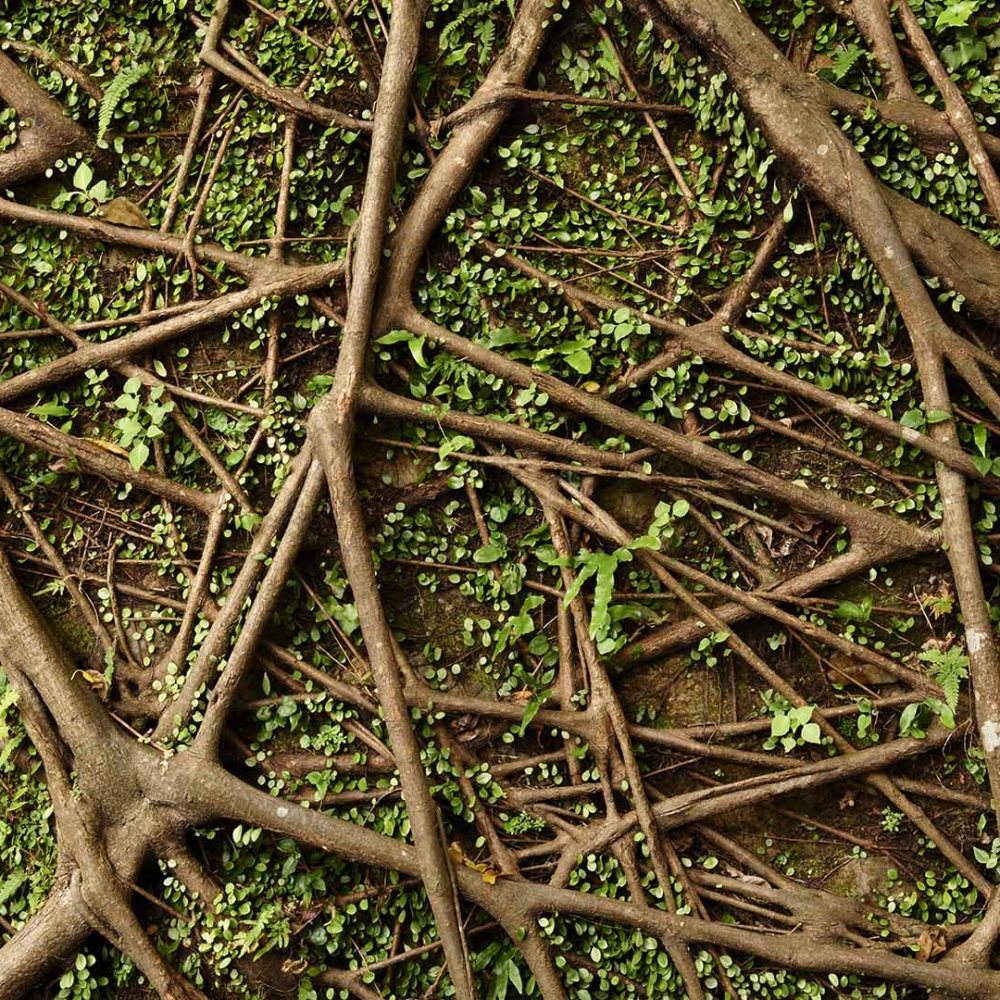 Becoming International Womens Networks